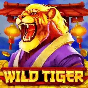 Official Slots logo: Wild Tiger by BGAMING at Fenikss Casino